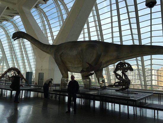 Museo di Scienze Naturali